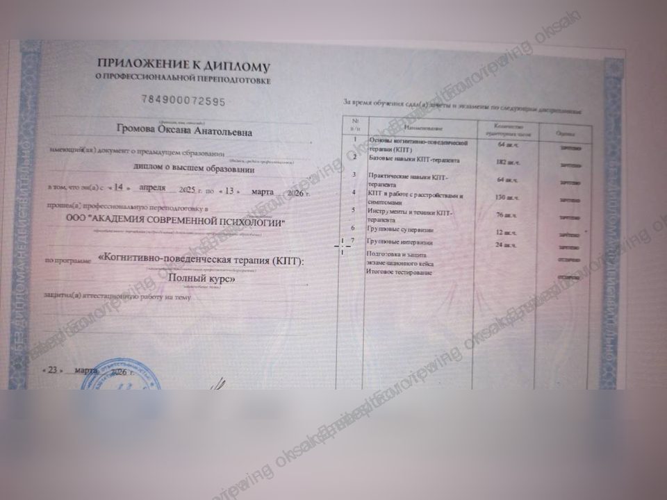 Preview of CBT retraining diploma supplement