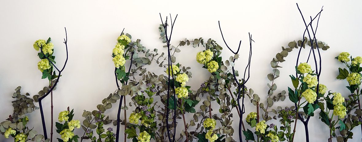 Light arrangement of eucalyptus branches and hydrangea blossoms against a white background